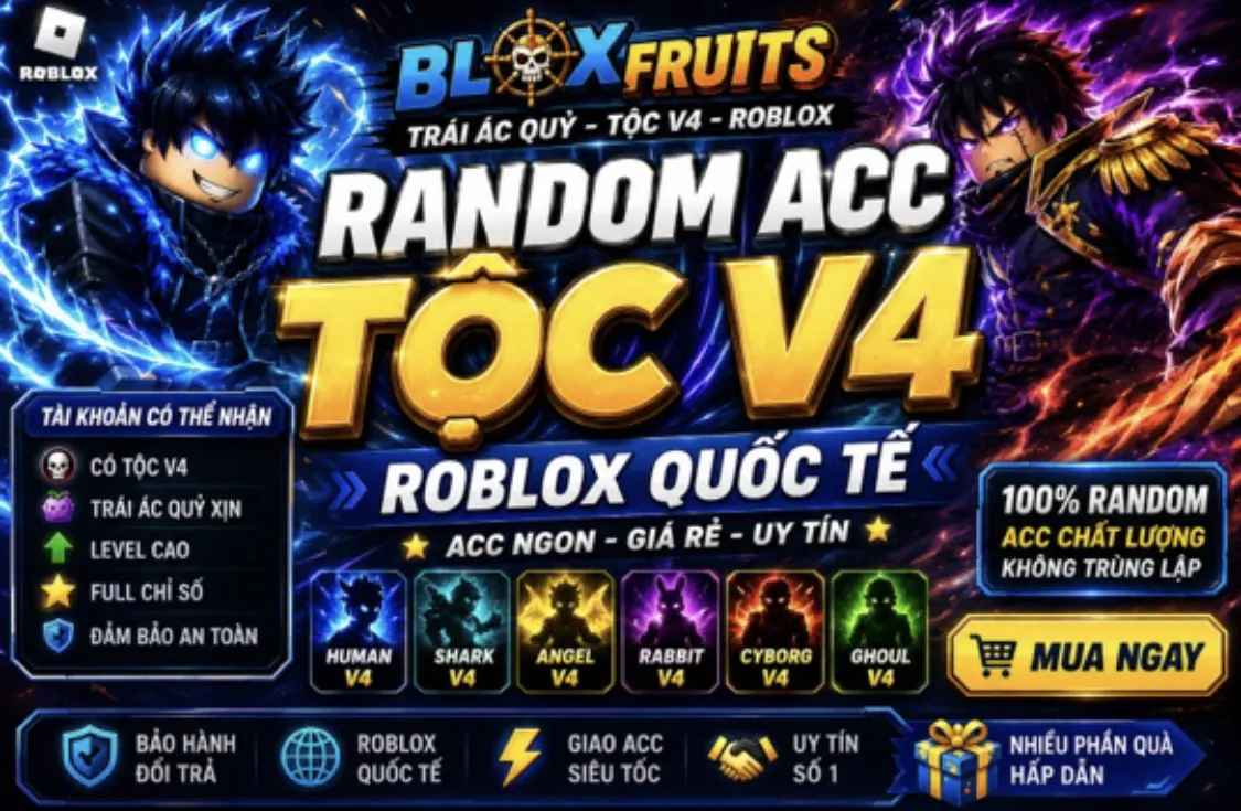 TÚI MÙ V4
